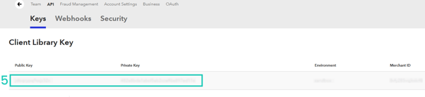 Braintree API keys (2)