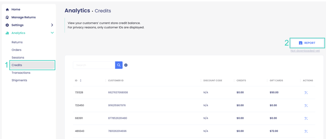 Credits Report-1