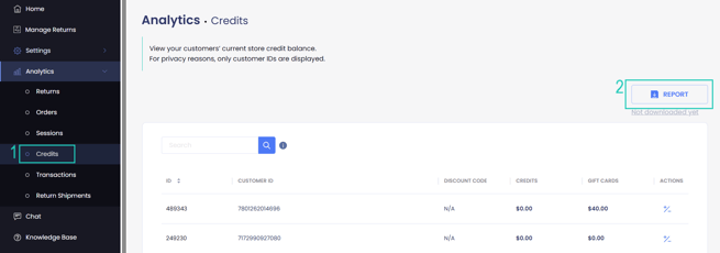 Downloadin Reports Credit